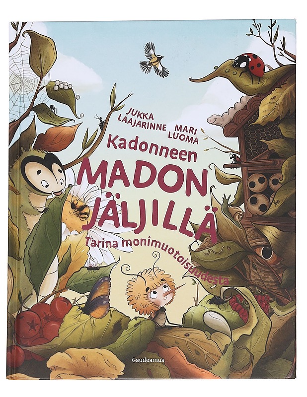 Kadonneen madon jäljillä - Laajarinne, Jukka - Lastenkirjat - 10105614707 - 0