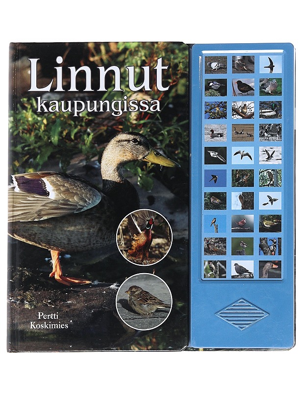 Linnut kaupungissa - Koskimies, Pertti - Tietokirjat ja oppaat - 10105615042 - 0