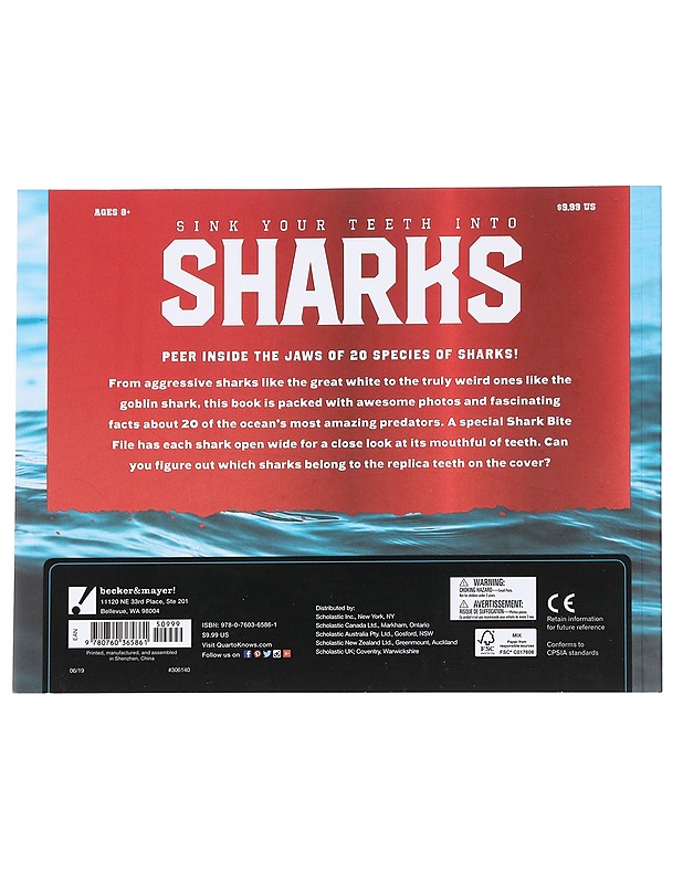 Sink Your Teeth Into Sharks - Tietokirjat ja oppaat - 10105615046 - 1