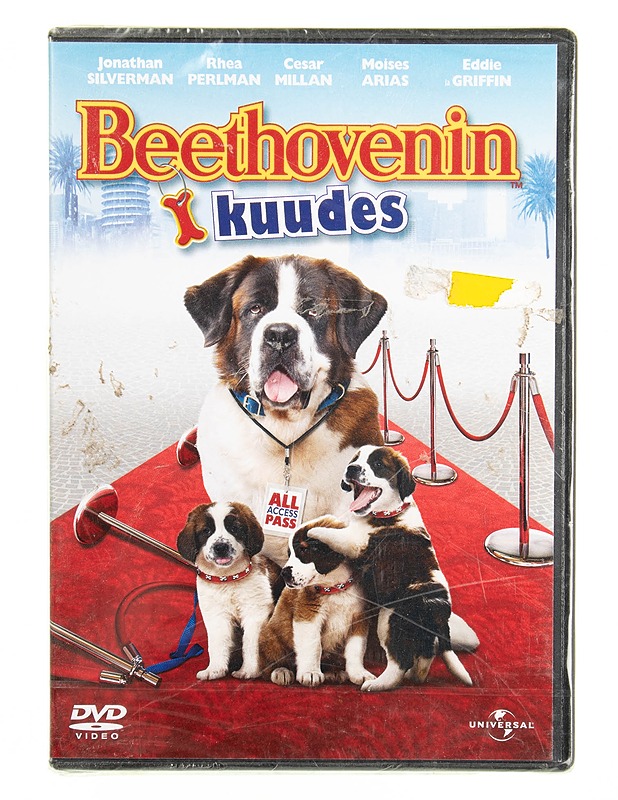 Beethovenin kuudes - DVD - DVD-elokuvat - 10105615141 - 0