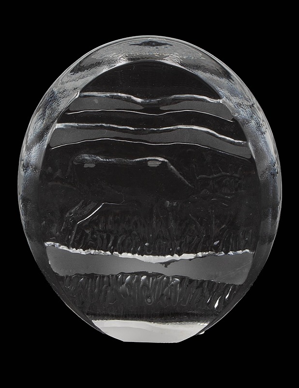IITTALA Poro lasipaino/-kortti - Designsuosikit - 10105615166 - 1