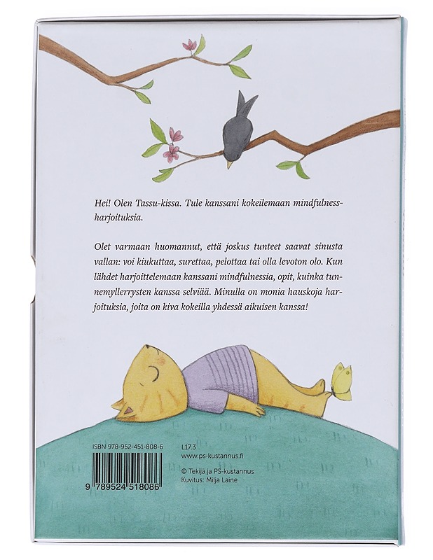 Tassun toimintakortit : kokeile kanssani mindfulnessia - Nyström, Eliisa - Lastenkirjat - 10105615413 - 1