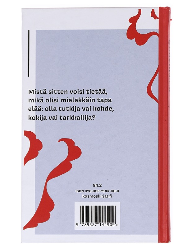 Onnenkissa - Aino Vähäpesola - Romaanit ja novellit - 10105615613 - 1