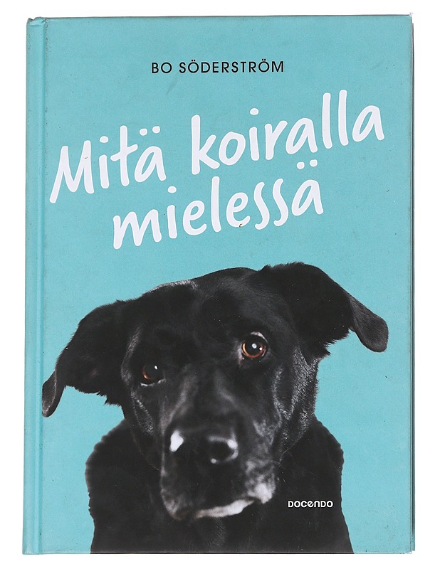 Mitä koiralla mielessä - Söderström, Bo - Tietokirjat ja oppaat - 10105615626 - 0