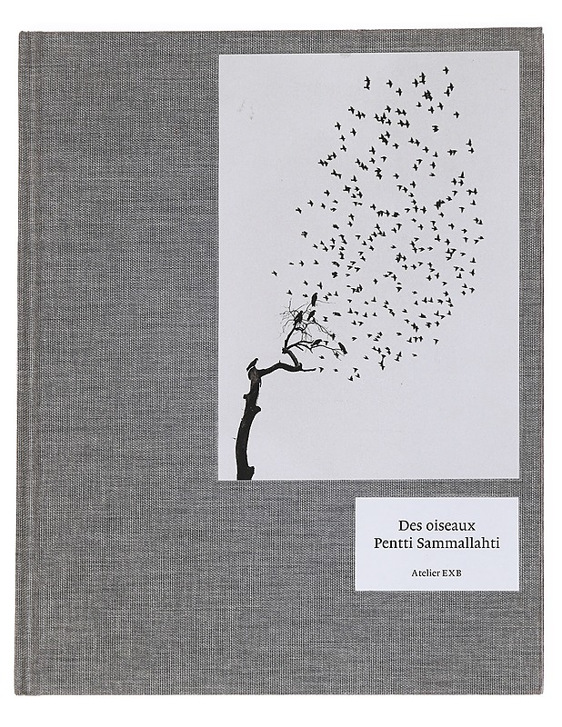 Des oiseaux - Lesaffre, Guilhem - Taide- ja kulttuurikirjat - 10105615677 - 0