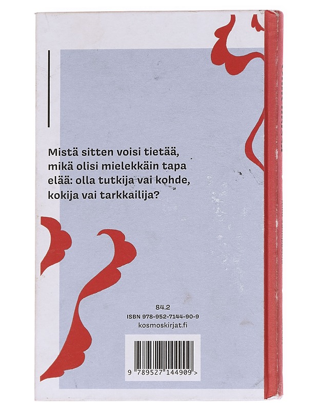 Onnenkissa - Aino Vähäpesola - Romaanit ja novellit - 10105616103 - 1