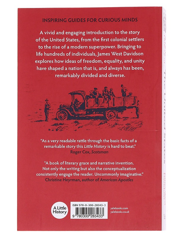 Little history of the United States - James West Davidson - Historiakirjat - 10105616337 - 1