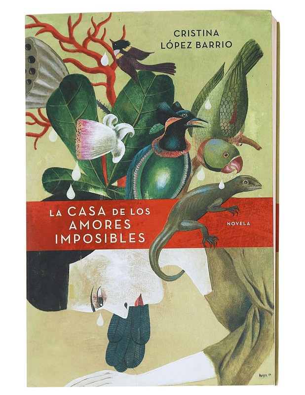 La casa de los amores imposibles - López Barrio - Romaanit ja novellit - 10105616374 - 0