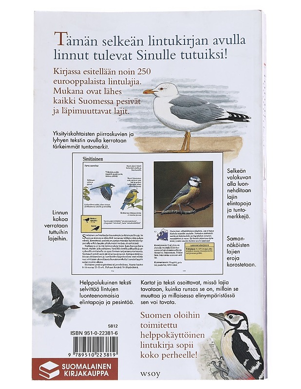 Linnut tutuiksi / Koko perheen lintukirja - Rob Hume - Tietokirjat ja oppaat - 10105617014 - 1