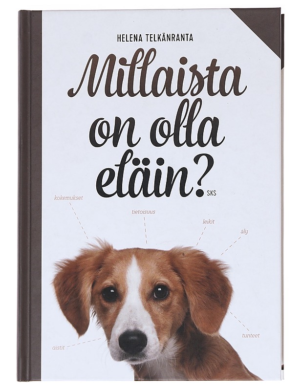 Millaista on olla eläin? - Helena Telkänranta - Tietokirjat ja oppaat - 10105617062 - 0