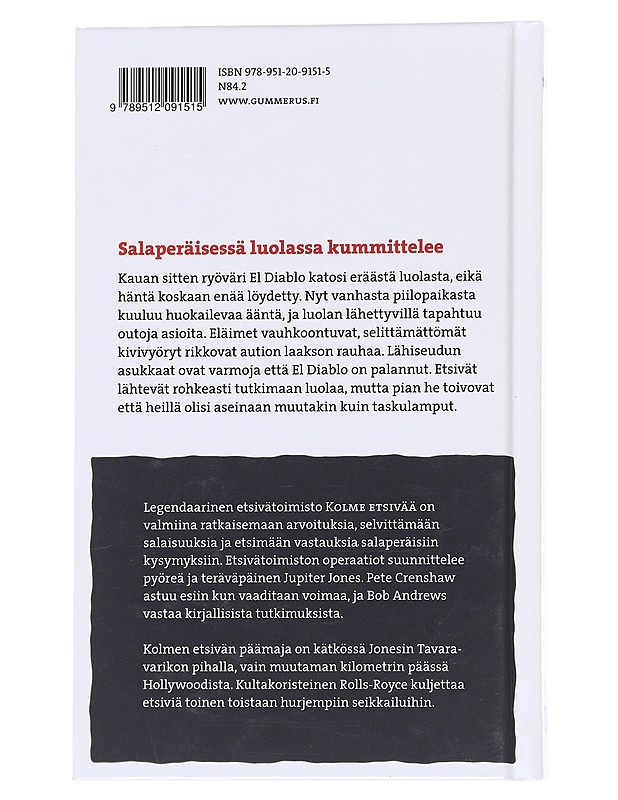3 etsivää ja huokaavan luolan arvoitus - Arden, William - Romaanit ja novellit - 10105617241 - 1