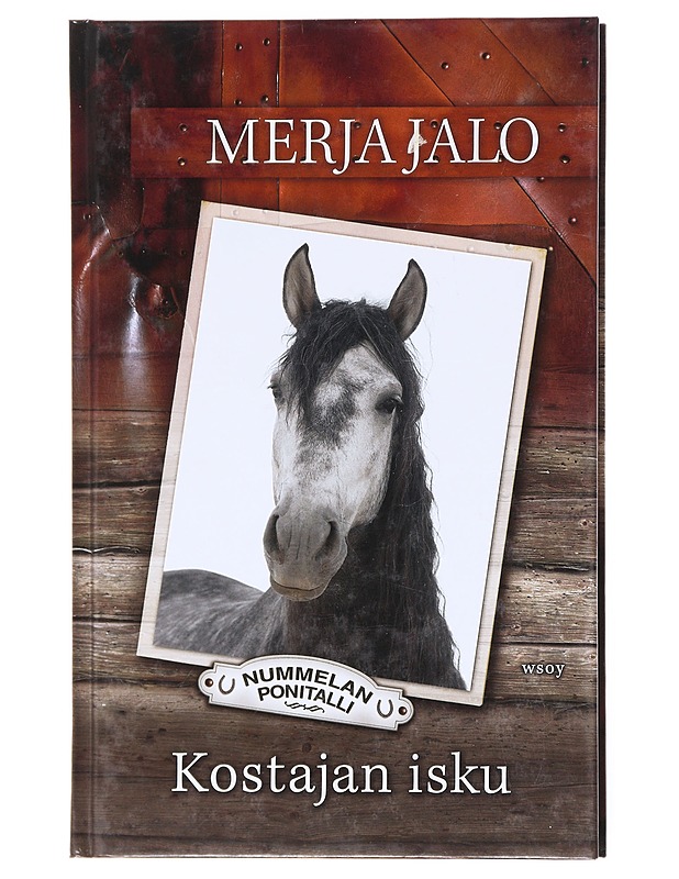 Kostajan isku - Merja Jalo - Nuorten kirjat - 10105617592 - 0