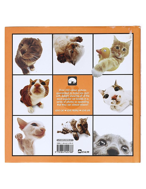 The Cat Artlist Collection - Lemmikki- ja luontokirjat - 10105617607 - 1