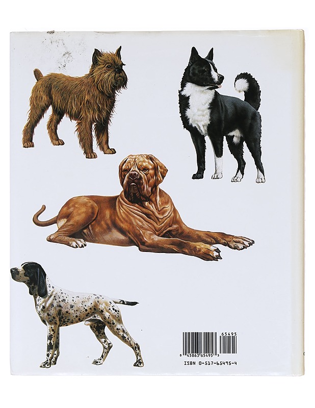 Dogs of the world - Bongianni, Maurizio - Tietokirjat ja oppaat - 10105617894 - 1
