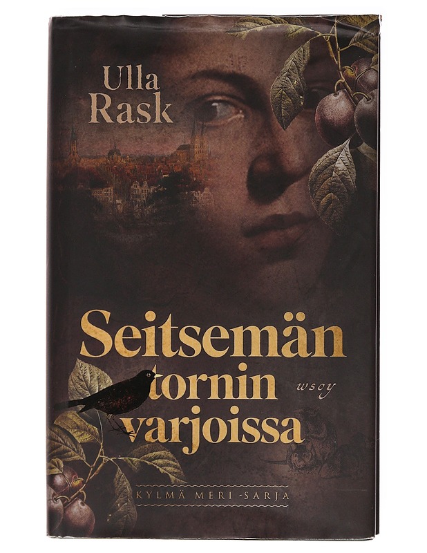 Seitsemän tornin varjoissa - Ulla Rask - Romaanit ja novellit - 10105617970 - 0