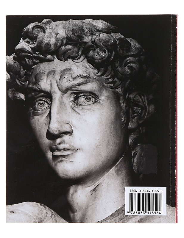 Michelangelo Buonarroti / elämä ja tuotanto - Grömling, Alexandra - Elämäkerrat ja muistelmat - 10105618075 - 1