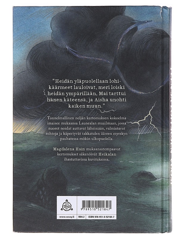 Teen ja loitsujen vuosi - Magdalena Hai - Kaunokirjallisuus - 10105618180 - 1