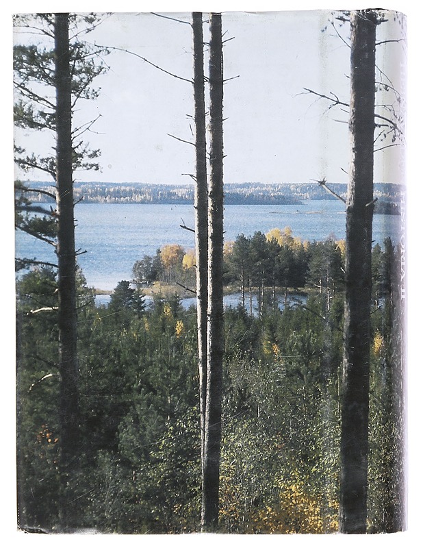 Heinäveden historia. 2 - Heimo Martikainen - Historiakirjat - 10105618185 - 1