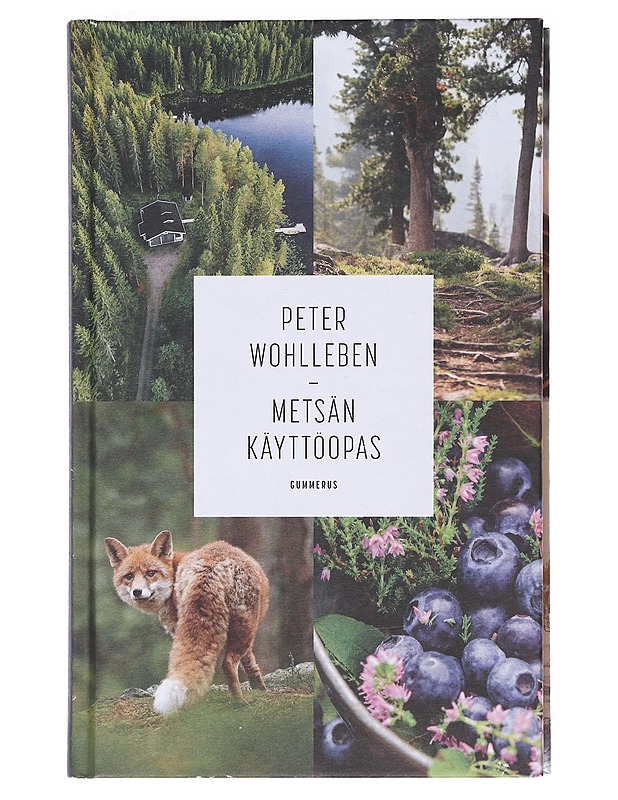 Metsän käyttöopas - Wohlleben, Peter - Tietokirjat ja oppaat - 10105618221 - 0