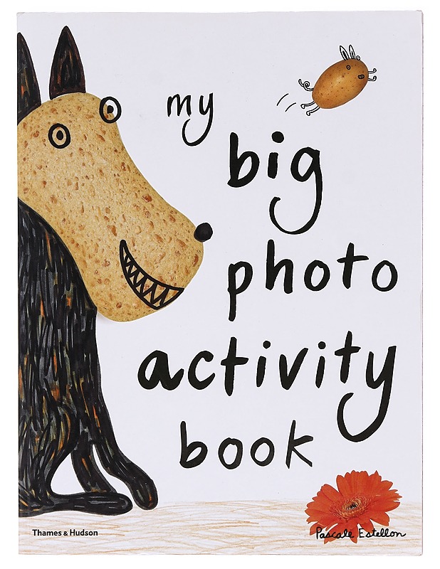 My Big Photo Activity Book - Pascale Estellon. - Lastenkirjat - 10105618962 - 0