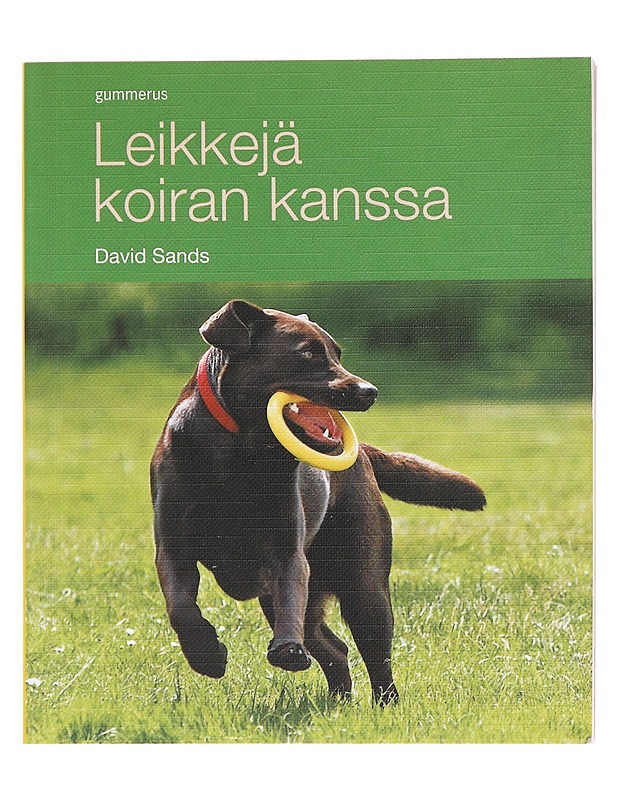 Leikkejä koiran kanssa - Sands, David - Tietokirjat ja oppaat - 10105619100 - 0