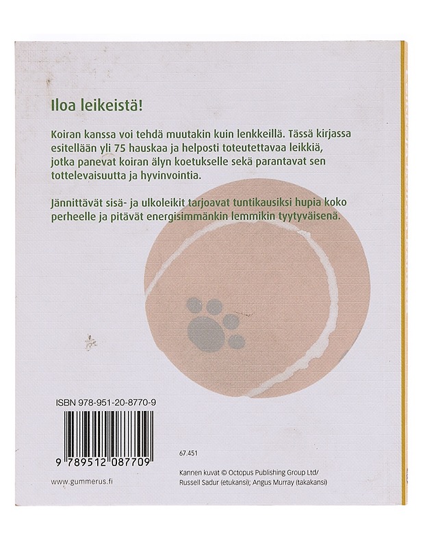 Leikkejä koiran kanssa - Sands, David - Tietokirjat ja oppaat - 10105619100 - 1
