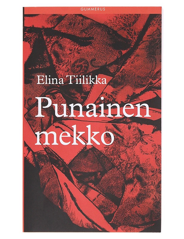 Punainen mekko - Elina Tiilikka - Romaanit ja novellit - 10105619324 - 0