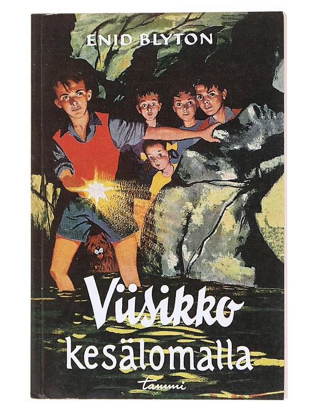 Viisikko kesälomalla - Blyton, Enid - Jännitys ja dekkarit - 10105619381 - 0