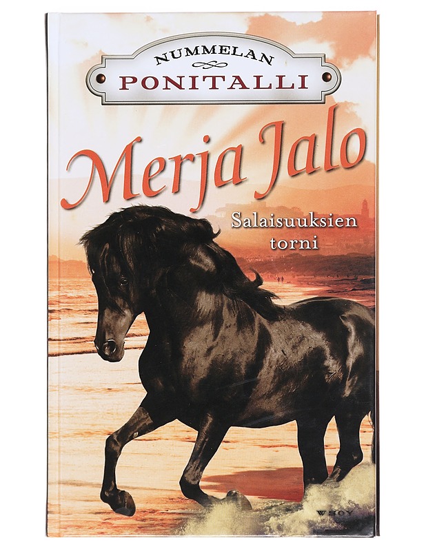 Salaisuuksien torni - Merja Jalo - Nuorten kirjat - 10105619416 - 0
