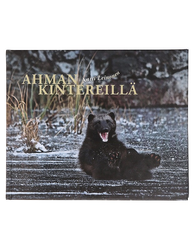 Ahman kintereillä - Leinonen, Antti - Lemmikki- ja luontokirjat - 10105620268 - 0