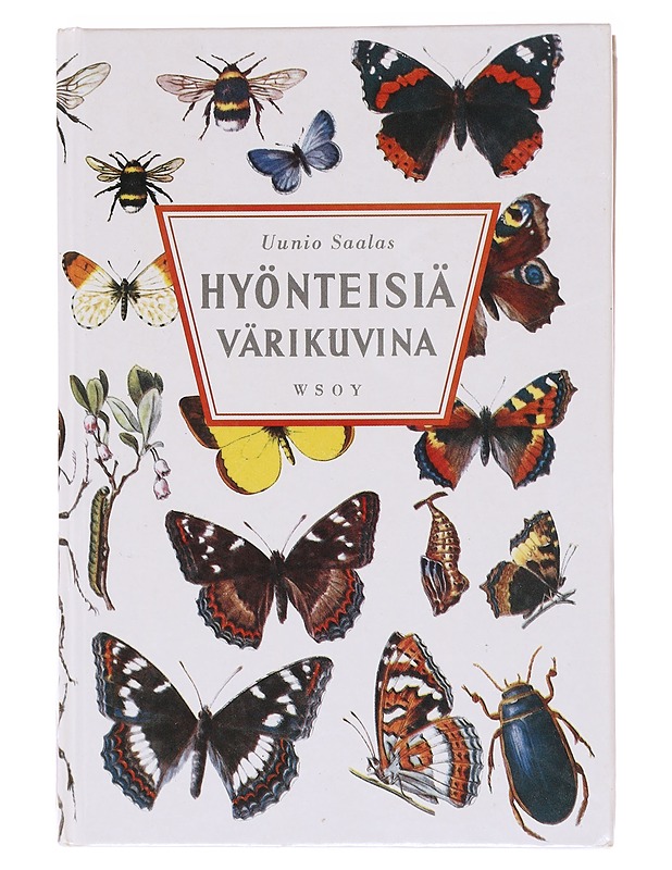 Hyönteisiä värikuvina - Hahnewald, Edgar - Tietokirjat ja oppaat - 10105620423 - 0