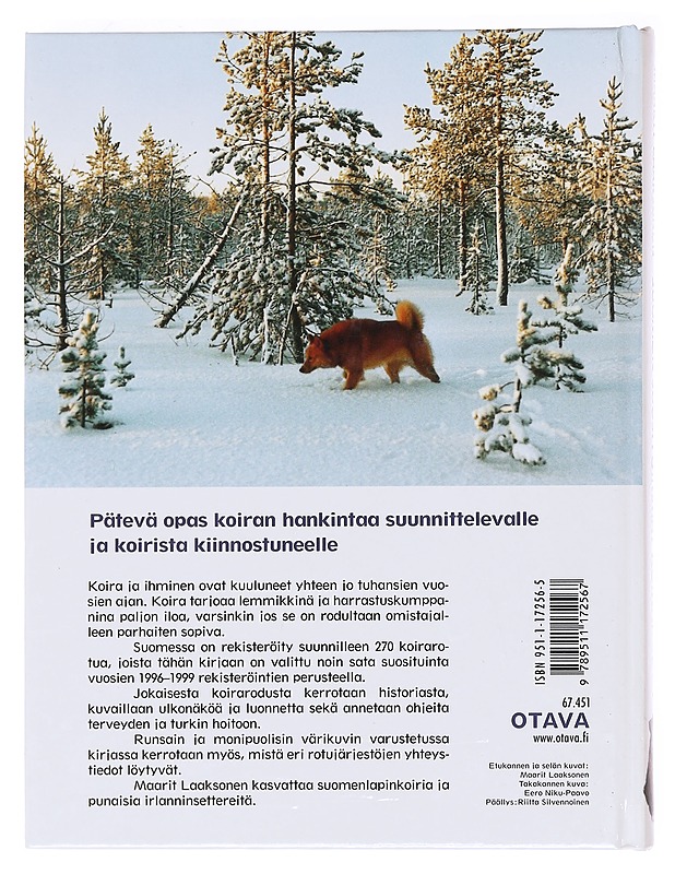 Suomen suosituimmat koirarodut - Maarit Laaksonen - Harrastekirjat - 10105620564 - 1