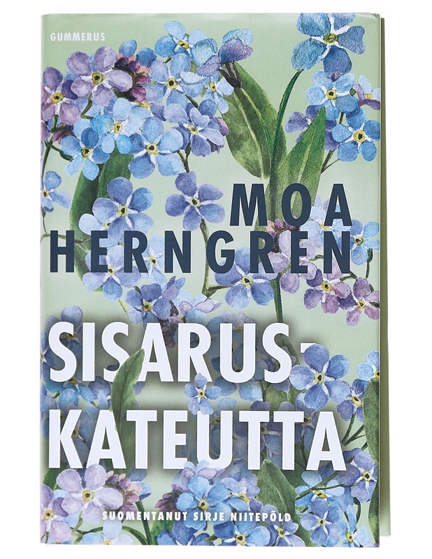 Sisaruskateutta - Herngren, Moa - Romaanit ja novellit - 10105621048 - 0