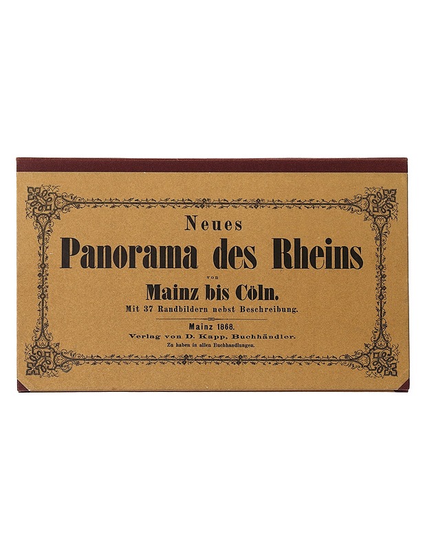 New Panorama of the Rhine from Mayence to Cologne - David  Kapp - Tietokirjat ja oppaat - 10105621095 - 1