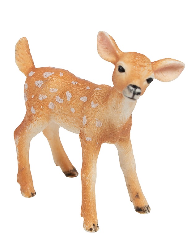 SCHLEICH Valkohäntäpeuran vasa - Lasten lelut - 10105621690 - 0