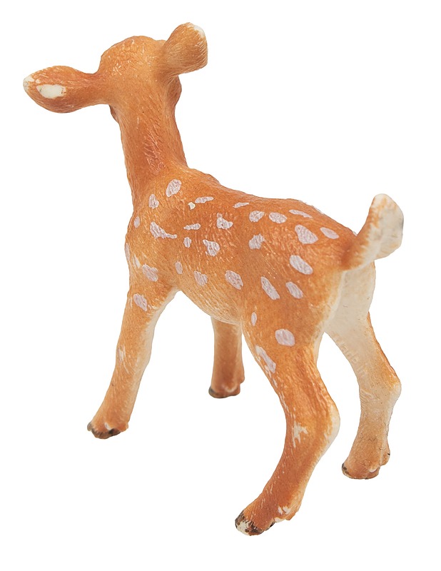 SCHLEICH Valkohäntäpeuran vasa - Lasten lelut - 10105621690 - 1
