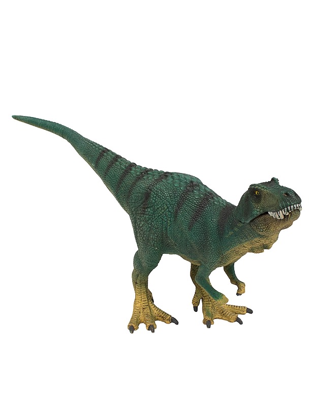 SCHLEICH nuori Tyrannosaurus Rex - Lasten lelut - 10105621929 - 0