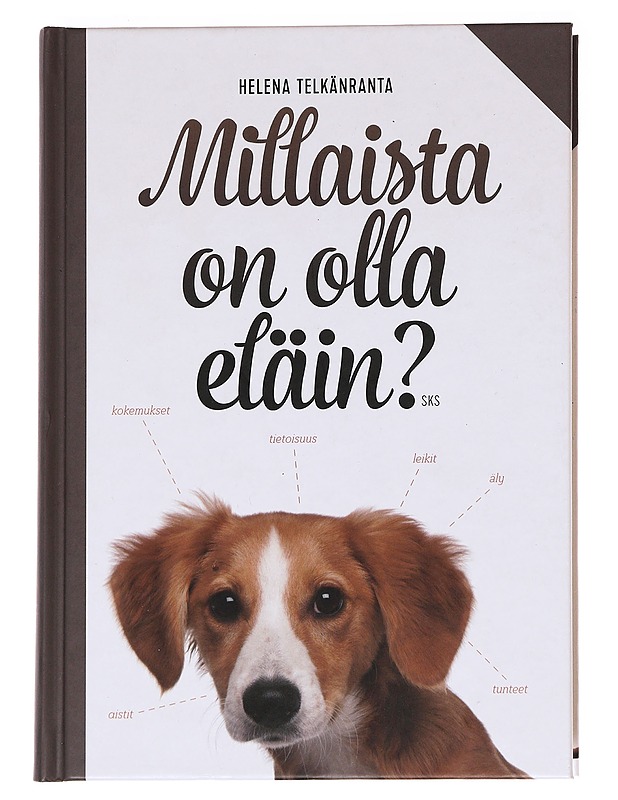 Millaista on olla eläin? - Helena Telkänranta - Tietokirjat ja oppaat - 10105622102 - 0