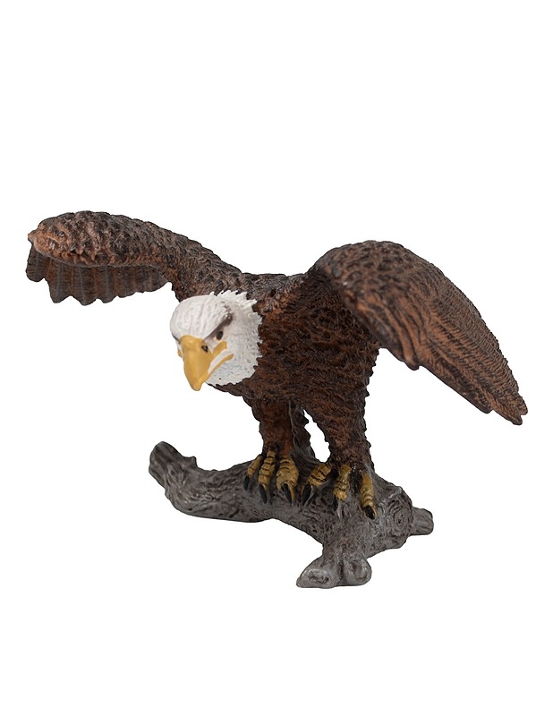 SCHLEICH Valkopäämerikotka figuuri - Lasten lelut - 10105622147 - 0