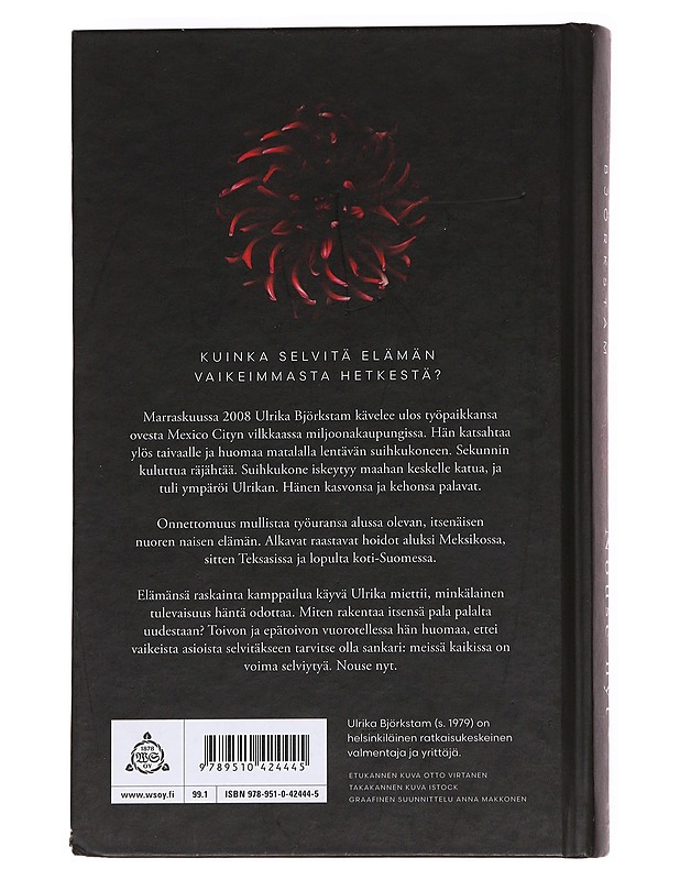 Nouse nyt : kuinka selvisin vakavasta onnettomuudesta - Björkstam, Ulrika - Elämäkerrat ja muistelmat - 10105622190 - 1