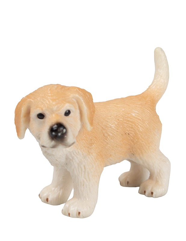 SCHLEICH Kultainennoutaja pentu 16378 figuuri - Lasten lelut - 10105622250 - 0