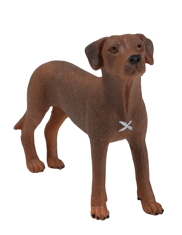 SCHLEICH 13895 Rhodesiankoirafiguuri - Lasten lelut - 10105622413 - 0