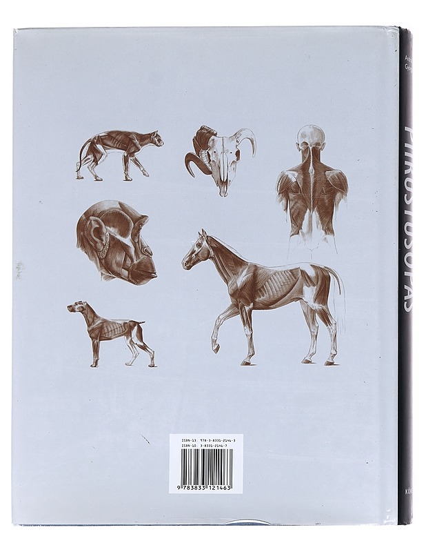 Anatomian piirustusopas : ihminen, eläin, vertaileva anatomia - Fehér, György - Tietokirjat ja oppaat - 10105622567 - 1