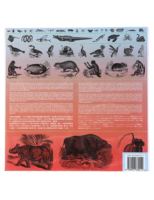 5000 animals - edited by Agile Rabbit Editions - Tietokirjat ja oppaat - 10105623080 - 1