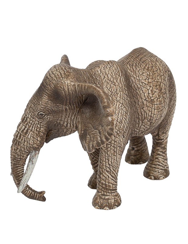 SCHLEICH Afrikannorsu naaras -figuuri - Lasten figuurit - 10105623501 - 0