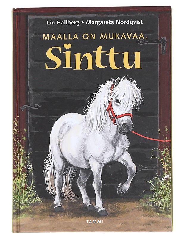 Maalla on mukavaa, Sinttu - Hallberg, Lin - Lastenkirjat - 10105624134 - 0