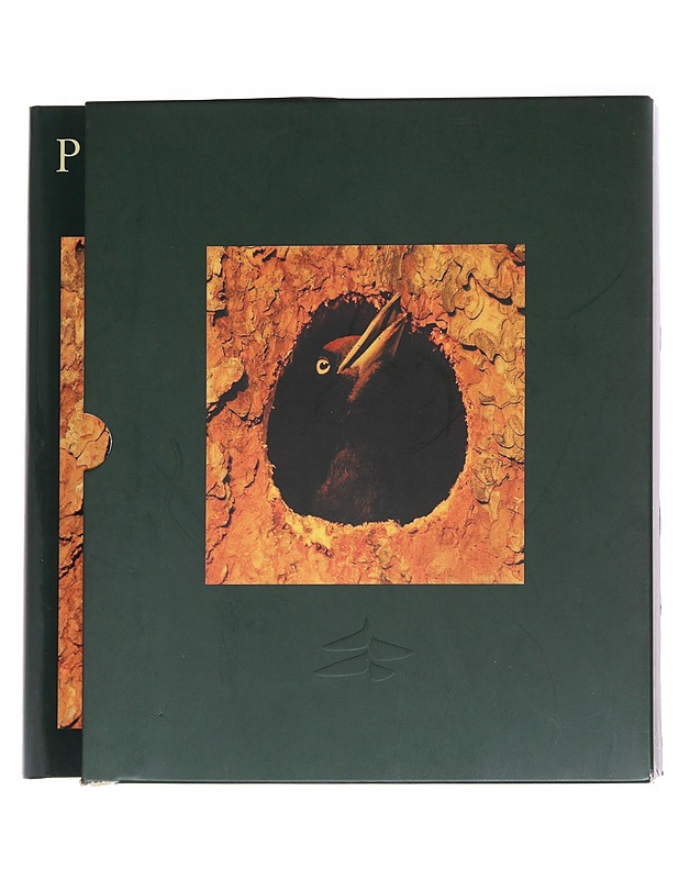 Puukansan tarina - Veikko Huovinen - Romaanit ja novellit - 10105624846 - 2