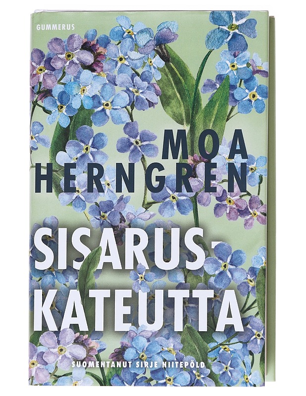 Sisaruskateutta - Herngren, Moa - Romaanit ja novellit - 10105625388 - 0