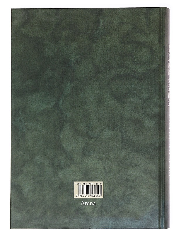Kalevala savon kielellä - Matti Lehmonen - Romaanit ja novellit - 10105625717 - 1