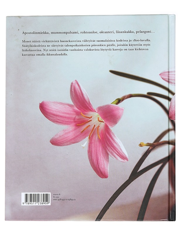 Hienohelma ja vanhapoika - Ranta, Anu - Tietokirjat ja oppaat - 10105626220 - 1